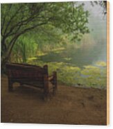 Foggy Morning On The Pond Wood Print