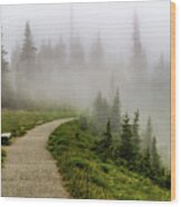 Foggy Path At Hurricane Ridge Wood Print