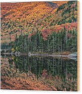 Foliage At Dawn On Beaver Pond Wood Print