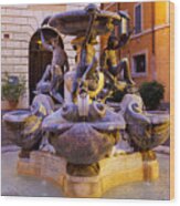 Fontana Delle Tartarughe Wood Print