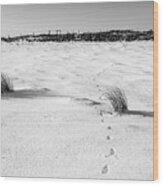 Footprints In The Snow I Wood Print