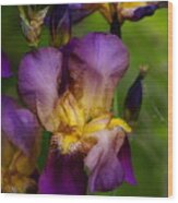 For The Love Of Iris Wood Print