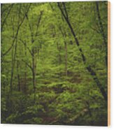 Forest Beckons Wood Print