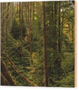 Forest Calling Wood Print