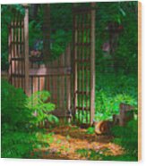 Forest Gateway Wood Print