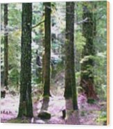 Forest Giants Wood Print