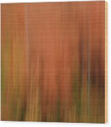 Forest Illusions- Autumnal Fire Wood Print