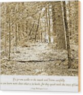 Forest Interior Path, Pocono Mountains Wood Print