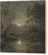 Forest Landscape In The Moonlight Wood Print