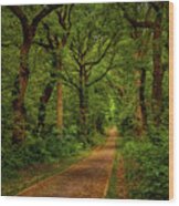 Forest Lane In Doorwerth Wood Print