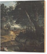 Forest Of Fontainebleau Wood Print