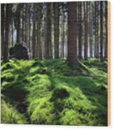 Forest Of Verdacy Wood Print