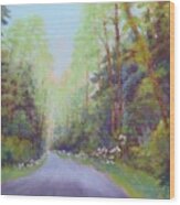 Forest Road Wood Print