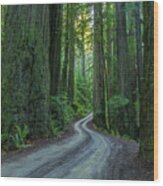 Forest Road. Wood Print