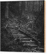 Forest Stairs Wood Print