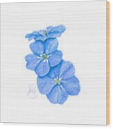 Forget Me Nots Wood Print