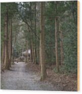 Forrest Shrine, Japan Wood Print