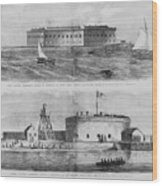 Fort Sumter And Castle Pinckney Wood Print