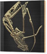 Fossil Record - Gold Pterodactyl Fossil On Black Canvas #3 Wood Print