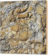 Fossil Rock Abstract 3 Wood Print