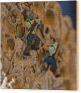Fossil Rock Climbing Wood Print
