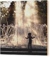 Fountain Silhouette Wood Print