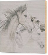 Four Horses Wood Print