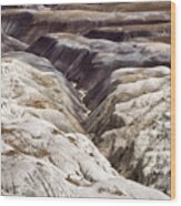 Four Million Geologic Years Wood Print