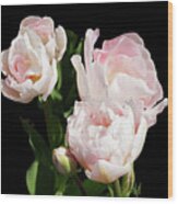 Four Pink Tulips And A Bud On Black Wood Print