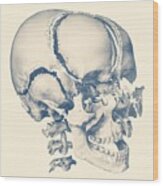 Fragmented Human Skull - Vintage Anatomy Print Wood Print