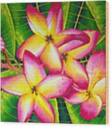Frangipani Flower Wood Print