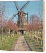 Fredriksdal Outdoor Museum Windmill Wood Print