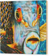 French Angelfish Face Wood Print