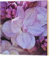French Lilac Flower Wood Print