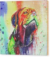 French Mastiff Wood Print