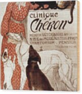 French Veterinary Clinic Wood Print