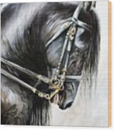 Friesian Wood Print