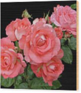 Frilly Peach Rose Bouquet Cutout Wood Print