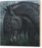 Frisian Stallion Wood Print
