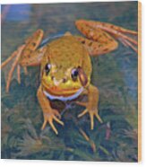 Frog 1 Wood Print