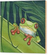 Frog Peek Wood Print