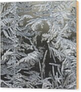 Frost Patterns On A Window Wood Print