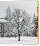 Frosted Tree And The Tabernacle Wood Print