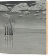 Frozen Lake Wood Print