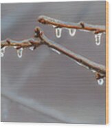 Frozen Raindrops Wood Print