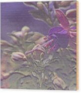 Fuchsia Flowers Wood Print