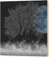 Full Moon Over Iced Tree Wood Print