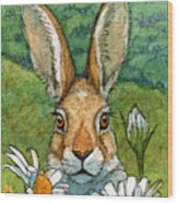 Funny Bunnies - With Chamomiles 889 Wood Print