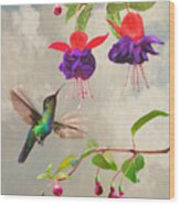 Fuchsia And Hummingbird Wood Print