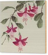 Fuschia Pink Wood Print